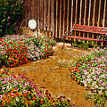 Backyard Garden by Paul Bartoszek Backyard Garden by Paul Bartoszek