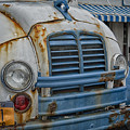 Badly Bruised DivCo Photograph by Guy Whiteley Badly Bruised DivCo Photograph by Guy Whiteley