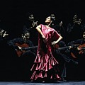 Bailarina Orgullosa del Flamenco by Richard Young Bailarina Orgullosa del Flamenco by Richard Young