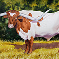 Bailey Drawing by Jill Westbrook