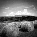 Bales in Monochrome Photograph by Onedayoneimage Photography Bales in Monochrome Photograph by Onedayoneimage Photography