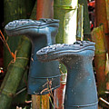 Bamboo Boots Photograph by Jennifer Robin Bamboo Boots Photograph by Jennifer Robin