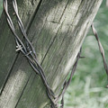 Barbwire Shadow Photograph by Troy Stapek Barbwire Shadow Photograph by Troy Stapek