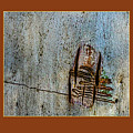 Bark Triptych MK4 Photograph by Werner Padarin