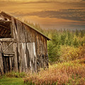 Barn at Sunset Print Photograph by Gwen Gibson Barn at Sunset Print Photograph by Gwen Gibson