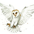 Barn Owl Flying Watercolor Painting by Olga Shvartsur Barn Owl Flying Watercolor Painting by Olga Shvartsur
