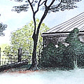 Barn with Trees and the Rooster Pastel by Michele Fritz Barn with Trees and the Rooster Pastel by Michele Fritz