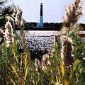 Barnegat Bay by Steve Karol Barnegat Bay by Steve Karol