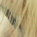 Bashful Photograph by Holly Ross Bashful Photograph by Holly Ross