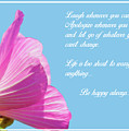 Be Happy Photograph by Cathy Kovarik Be Happy Photograph by Cathy Kovarik
