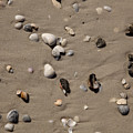 Beach 1121 Photograph by Michael Fryd Beach 1121 Photograph by Michael Fryd