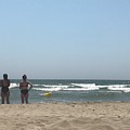 Beach Friends by Nadine Rippelmeyer Beach Friends by Nadine Rippelmeyer