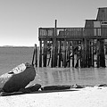 Beach Getaway 2 Cape Cod Provincetown Photograph by Darius Aniunas