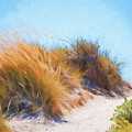 Beach Grass And Sand Dunes by Michelle Wrighton