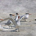 Beach Party by Jayne Carney