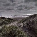 Beach path by Shari Chavira Beach path by Shari Chavira