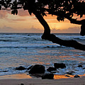 Beach Sunrise Photograph by Ted Keller Beach Sunrise Photograph by Ted Keller