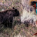 Bear and Navajo Photograph by Mark Jackson Bear and Navajo Photograph by Mark Jackson