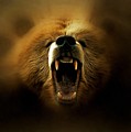 Bear Roar Digital Art by Lilia D Bear Roar Digital Art by Lilia D