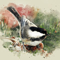 Beautiful Chickadee - Watercolor Art Mixed Media by Christina Rollo Beautiful Chickadee - Watercolor Art Mixed Media by Christina Rollo