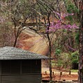 Beautiful Escape by Kim Henderson Beautiful Escape by Kim Henderson