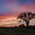 Beauty After The Storm Photograph by Holden The Moment Beauty After The Storm Photograph by Holden The Moment