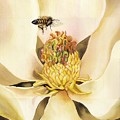 Beauty And The Bees by Alfred Ng