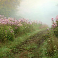 Beauty at Kendall Hills Photograph by Ann Bridges Beauty at Kendall Hills Photograph by Ann Bridges