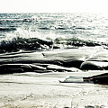 Become One Photograph by Stelios Kleanthous Become One Photograph by Stelios Kleanthous