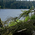 Beecraigs Loch. Photograph by Elena Perelman Beecraigs Loch. Photograph by Elena Perelman