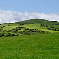 Beecraigs Hills. Photograph by Elena Perelman Beecraigs Hills. Photograph by Elena Perelman