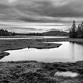Before the Storm by Karin Pinkham