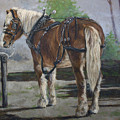 Belgian Charlie by Todd Cooper