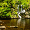 Below Fulmer Photograph by Mark Rogers