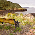 Bench at the bay Photograph by Elena Perelman Bench at the bay Photograph by Elena Perelman