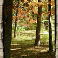 Bench In The Woods Photograph by Phil Perkins Bench In The Woods Photograph by Phil Perkins