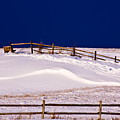 Bench On A Winter Hill by Don Nieman