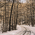 Bend in the Road Photograph by Onedayoneimage Photography Bend in the Road Photograph by Onedayoneimage Photography
