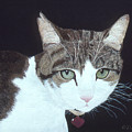 Best Cat Painting by Karen Zuk Rosenblatt Best Cat Painting by Karen Zuk Rosenblatt