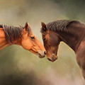 Best Friends - Two Horses by Michelle Wrighton