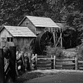 Beyond the Fence by Eric Liller Beyond the Fence by Eric Liller