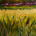Beyond The Valley by Shannon Grissom Beyond The Valley by Shannon Grissom