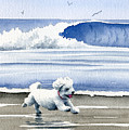 Bichon Frise At The Beach Painting by David Rogers Bichon Frise At The Beach Painting by David Rogers