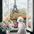 Bichon Frise In Paris Painting by David Rogers Bichon Frise In Paris Painting by David Rogers
