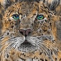 Big Cat Digital Art by Darren Cannell Big Cat Digital Art by Darren Cannell