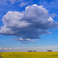 Big Clouds Photograph by Bill Cubitt Big Clouds Photograph by Bill Cubitt