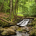 Big Pup Falls by Steve L'Italien