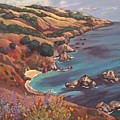 Big Sur Coast by Peggy Olsen Big Sur Coast by Peggy Olsen