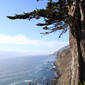 Big Sur Coastline Photograph by Linda Woods Big Sur Coastline Photograph by Linda Woods