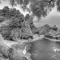 Big Sur Path Beach Walkway by Jane Linders Big Sur Path Beach Walkway by Jane Linders